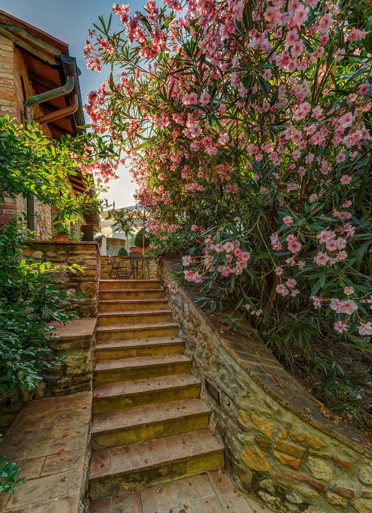Agriturismo Casanova Di Pescille San Gimignano Dış mekan fotoğraf